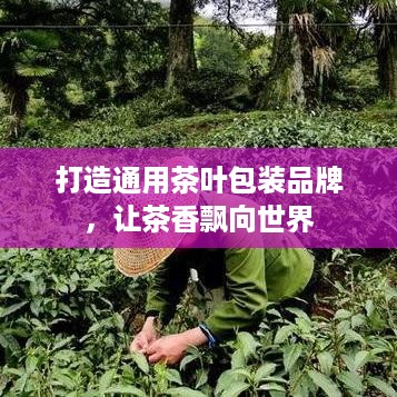打造通用茶叶包装品牌，让茶香飘向世界