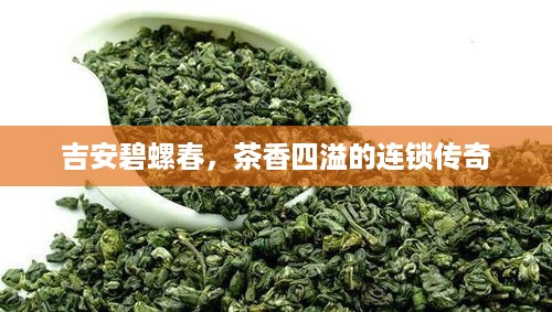 吉安碧螺春，茶香四溢的连锁传奇