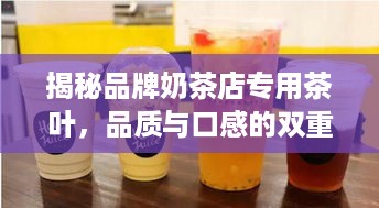 揭秘品牌奶茶店专用茶叶，品质与口感的双重保障