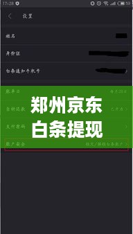 郑州京东白条提现时间揭秘，快速到账的秘诀在哪里？