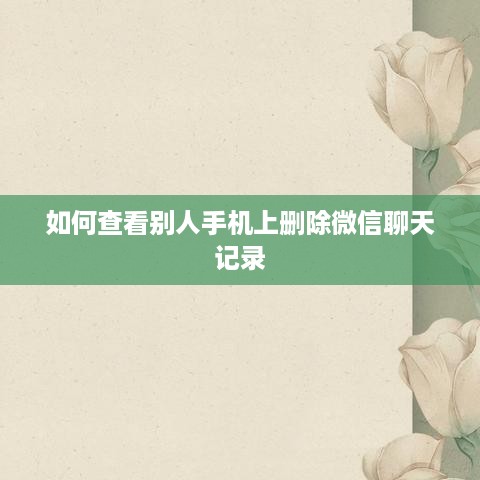 如何查看别人手机上删除微信聊天记录