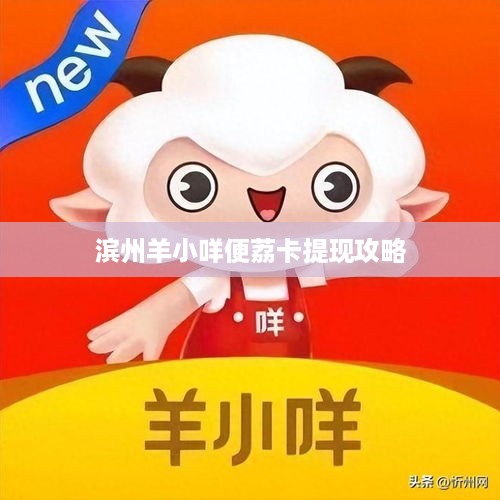 滨州羊小咩便荔卡提现攻略