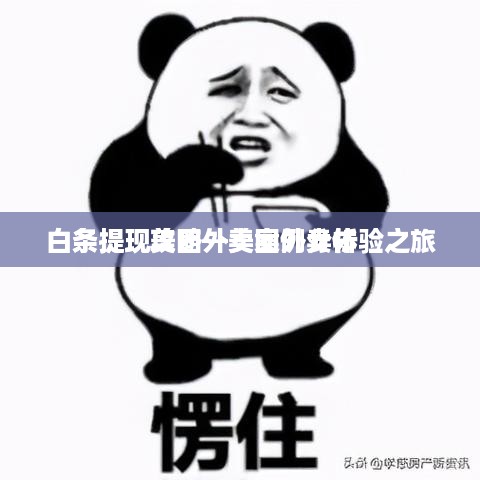 白条提现美团外卖案例分析
白条提现攻略—美团外卖体验之旅