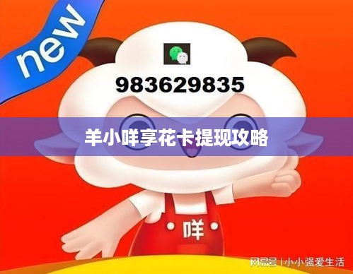羊小咩享花卡提现攻略