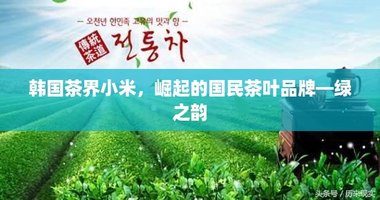 韩国茶界小米，崛起的国民茶叶品牌—绿之韵