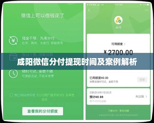 咸阳微信分付提现时间及案例解析
