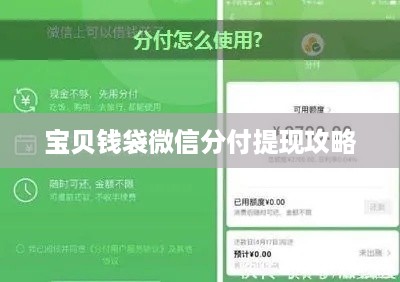 宝贝钱袋微信分付提现攻略