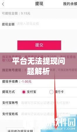 平台无法提现问题解析