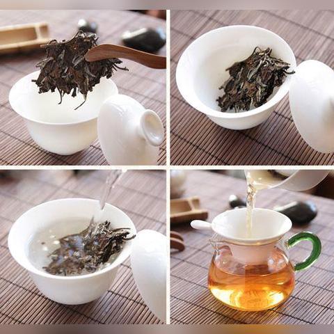 福鼎白茶品牌盘点，探寻品质与文化的交融之美