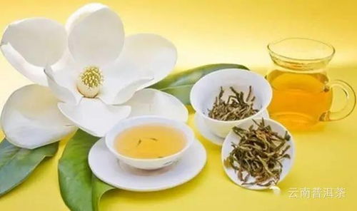 新疆本土茶叶品牌，品味丝路风情，传承千年茶韵