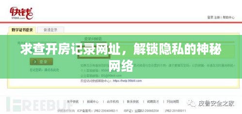 求查开房记录网址，解锁隐私的神秘网络