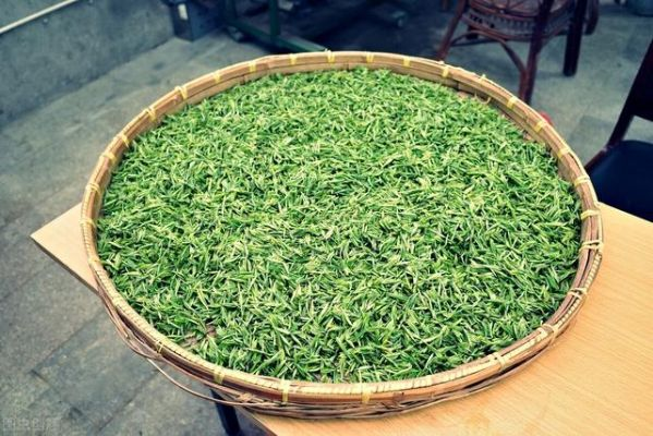 相城毛尖，探寻江苏苏州的茶香传奇