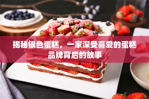 揭秘银色蛋糕，一家深受喜爱的蛋糕品牌背后的故事