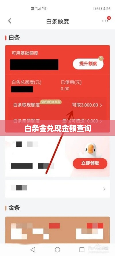 白条金兑现金额查询