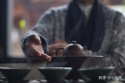 乐嘉倾情代言，品味茶香四溢的乐嘉茶品牌故事
