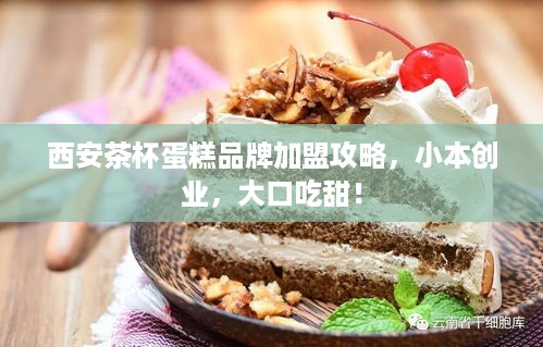 西安茶杯蛋糕品牌加盟攻略，小本创业，大口吃甜！