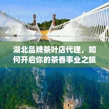 湖北品牌茶叶店代理，如何开启你的茶香事业之旅