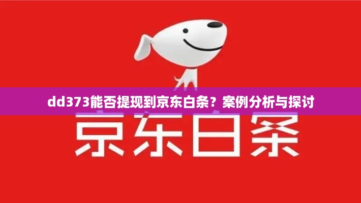 dd373能否提现到京东白条？案例分析与探讨
