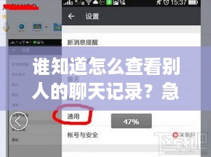 谁知道怎么查看别人的聊天记录？急求攻略！