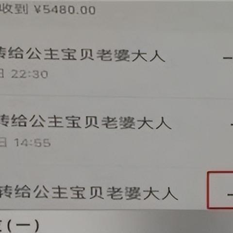 揭秘最新查开房记录软件，便捷高效，案例分析