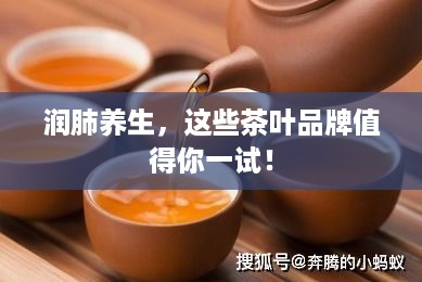 润肺养生，这些茶叶品牌值得你一试！