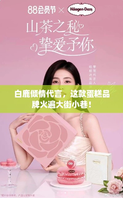 白鹿倾情代言，这款蛋糕品牌火遍大街小巷！