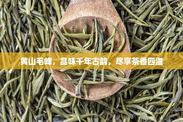 黄山毛峰，品味千年古韵，尽享茶香四溢