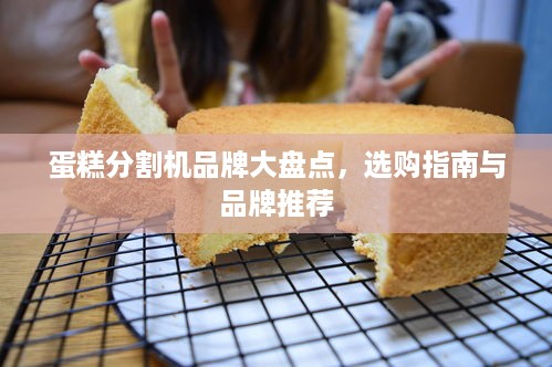 蛋糕分割机品牌大盘点，选购指南与品牌推荐