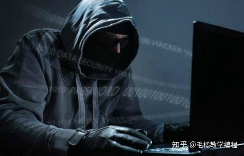 黑客追款风云，24小时在线接单的黑客传奇