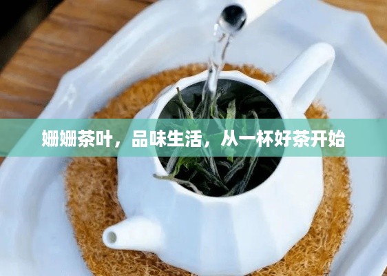 姗姗茶叶，品味生活，从一杯好茶开始