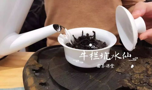 漳州牛栏坑水仙茶叶，品味历史沉淀，探寻茶香之源