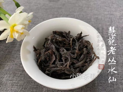 漳州牛栏坑水仙茶叶，品味历史沉淀，探寻茶香之源