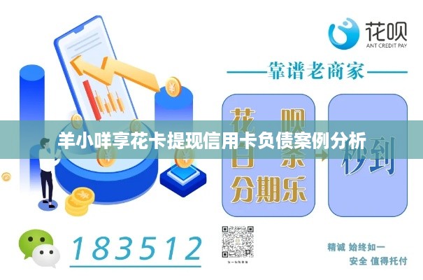 羊小咩享花卡提现信用卡负债案例分析