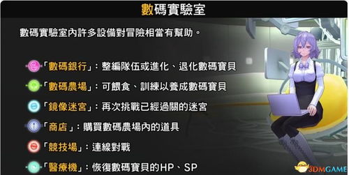 网络黑客寻踪，秘籍揭秘