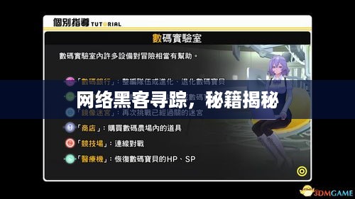 网络黑客寻踪，秘籍揭秘