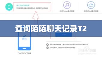 查询陌陌聊天记录T2