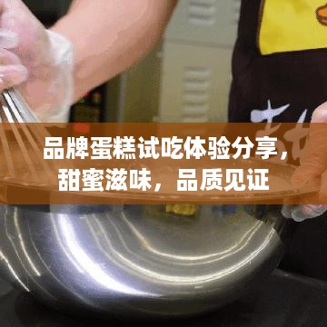 品牌蛋糕试吃体验分享，甜蜜滋味，品质见证