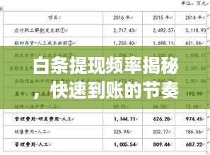 白条提现频率揭秘，快速到账的节奏与案例解析