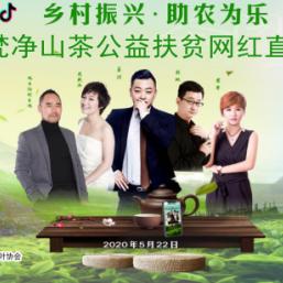 茶叶大品牌直播带货攻略，热门视频大全及案例分析