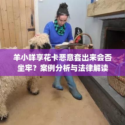 羊小咩享花卡恶意套出来会否坐牢？案例分析与法律解读