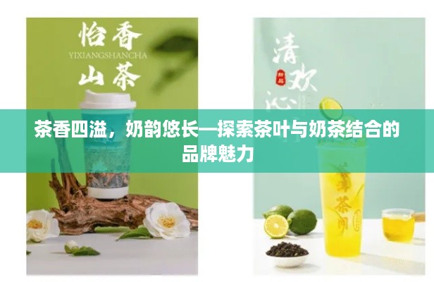 茶香四溢，奶韵悠长—探索茶叶与奶茶结合的品牌魅力