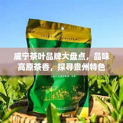 威宁茶叶品牌大盘点，品味高原茶香，探寻贵州特色