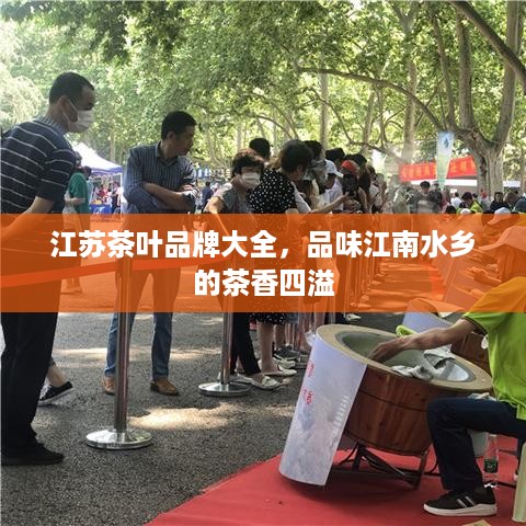 江苏茶叶品牌大全，品味江南水乡的茶香四溢