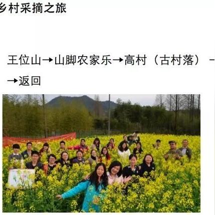 江苏茶叶品牌大全，品味江南水乡的茶香四溢