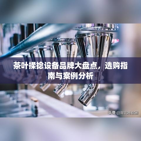 茶叶揉捻设备品牌大盘点，选购指南与案例分析