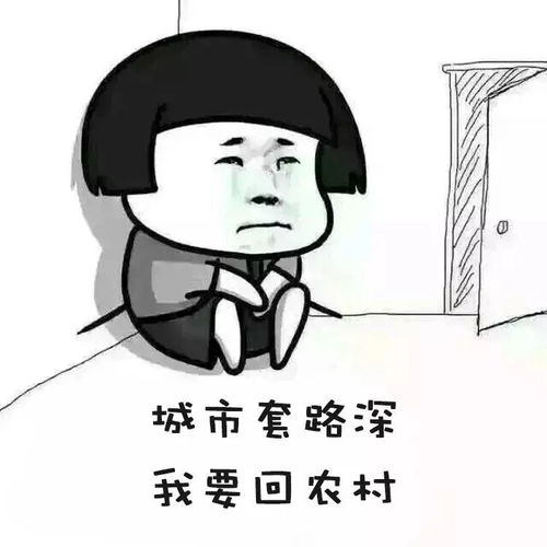 被骗的钱追回攻略