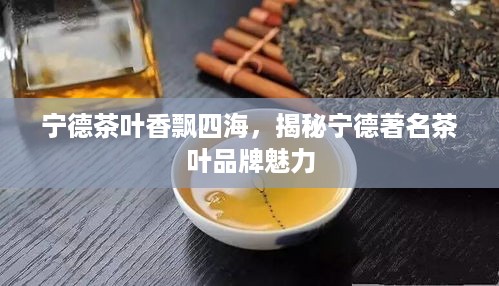宁德茶叶香飘四海，揭秘宁德著名茶叶品牌魅力