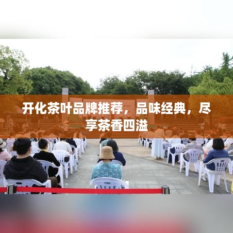 开化茶叶品牌推荐，品味经典，尽享茶香四溢
