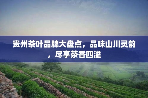 贵州茶叶品牌大盘点，品味山川灵韵，尽享茶香四溢
