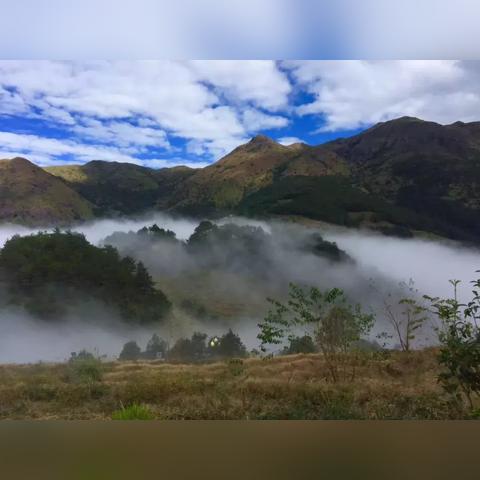 揭秘江湖茶叶，一款源自古法的神秘茶品